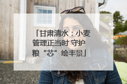 甘肃清水：小麦管理正当时 守护粮“芯”绘丰景
