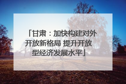 甘肃：加快构建对外开放新格局 提升开放型经济发展水平