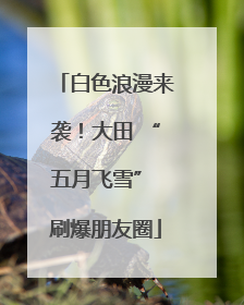 白色浪漫来袭！大田 “五月飞雪” 刷爆朋友圈