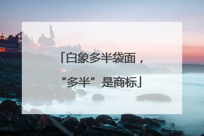 白象多半袋面，“多半”是商标