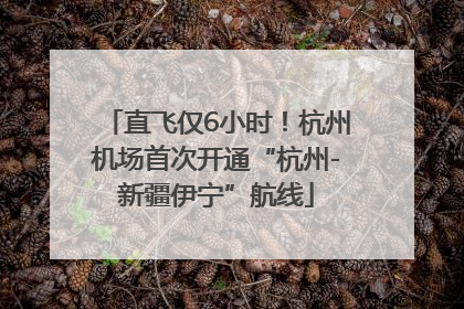 直飞仅6小时！杭州机场首次开通“杭州-新疆伊宁”航线