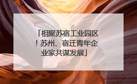 相聚苏宿工业园区！苏州、宿迁青年企业家共谋发展