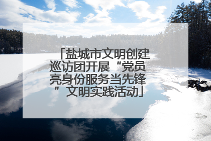 盐城市文明创建巡访团开展“党员亮身份服务当先锋”文明实践活动