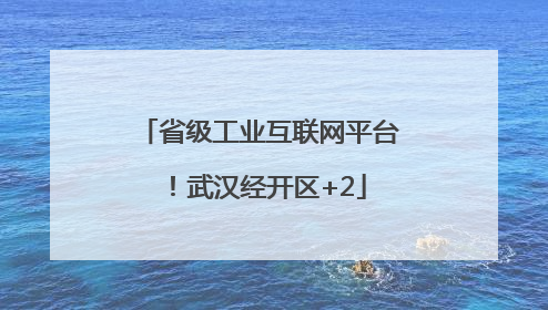省级工业互联网平台！武汉经开区+2