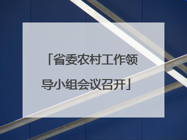 省委农村工作领导小组会议召开