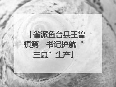 省派鱼台县王鲁镇第一书记护航“三夏”生产