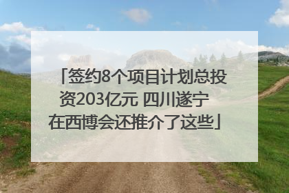 签约8个项目计划总投资203亿元 四川遂宁在西博会还推介了这些