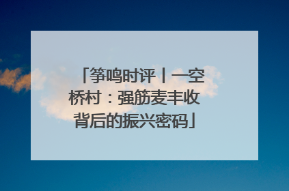 筝鸣时评丨一空桥村：强筋麦丰收背后的振兴密码