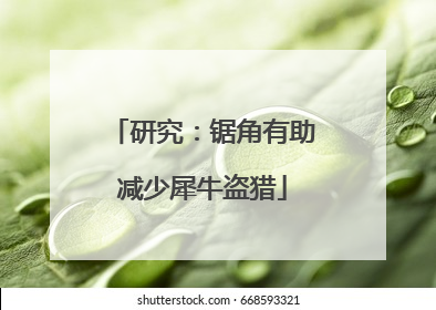 研究：锯角有助减少犀牛盗猎