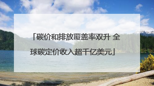 碳价和排放覆盖率双升 全球碳定价收入超千亿美元