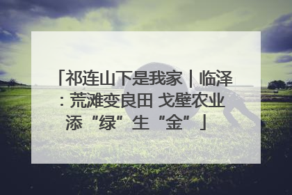 祁连山下是我家｜临泽：荒滩变良田 戈壁农业添“绿”生“金”