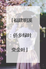 福建明溪：侨乡绿叶变金叶