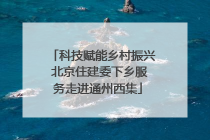 科技赋能乡村振兴 北京住建委下乡服务走进通州西集