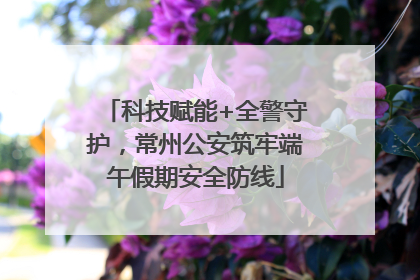 科技赋能+全警守护，常州公安筑牢端午假期安全防线