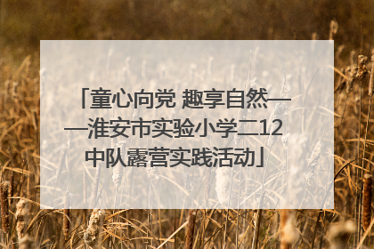 童心向党 趣享自然——淮安市实验小学二12中队露营实践活动