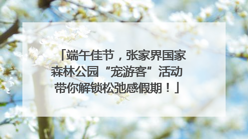端午佳节，张家界国家森林公园“宠游客”活动带你解锁松弛感假期！