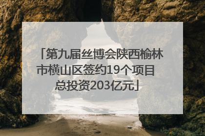 第九届丝博会陕西榆林市横山区签约19个项目 总投资203亿元