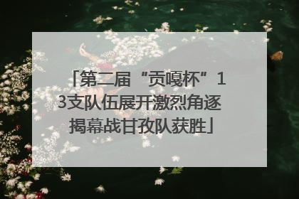 第二届“贡嘎杯”13支队伍展开激烈角逐 揭幕战甘孜队获胜