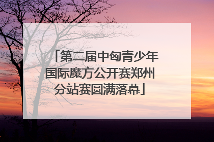 第二届中匈青少年国际魔方公开赛郑州分站赛圆满落幕