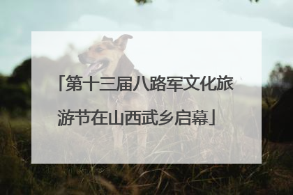 第十三届八路军文化旅游节在山西武乡启幕