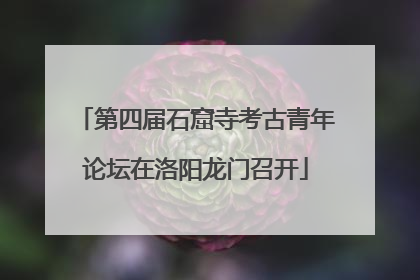 第四届石窟寺考古青年论坛在洛阳龙门召开