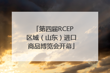 第四届RCEP区域（山东）进口商品博览会开幕
