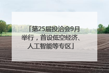 第25届投洽会9月举行，首设低空经济、人工智能等专区