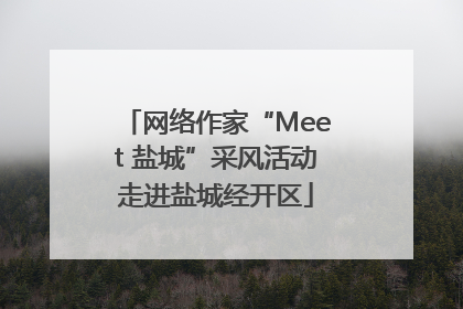 网络作家“Meet 盐城”采风活动走进盐城经开区