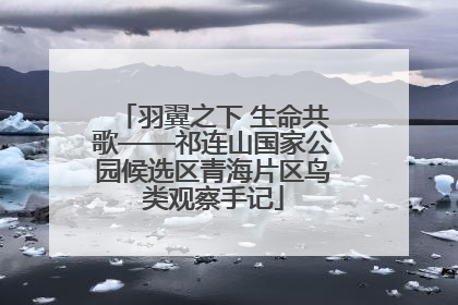 羽翼之下 生命共歌——祁连山国家公园候选区青海片区鸟类观察手记