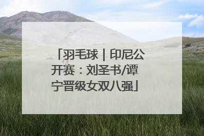 羽毛球｜印尼公开赛：刘圣书/谭宁晋级女双八强