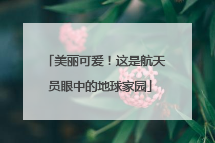 美丽可爱！这是航天员眼中的地球家园
