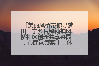 美丽凤桥带你寻梦田！宁乡夏铎铺镇凤桥社区创新共享菜园，市民认领菜土，体验耕种收获乐趣