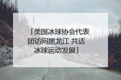 美国冰球协会代表团访问黑龙江 共话冰球运动发展