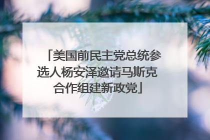 美国前民主党总统参选人杨安泽邀请马斯克合作组建新政党