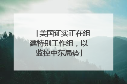 美国证实正在组建特别工作组，以监控中东局势