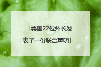 美国22位州长发表了一份联合声明