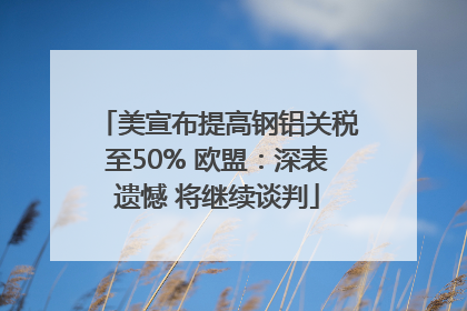 美宣布提高钢铝关税至50% 欧盟：深表遗憾 将继续谈判
