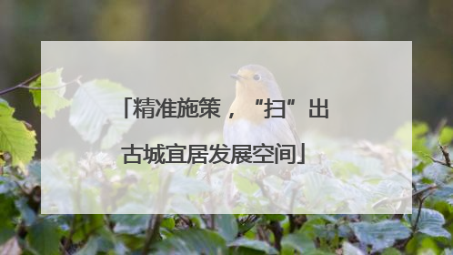 精准施策，“扫”出古城宜居发展空间