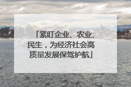 紧盯企业、农业、民生，为经济社会高质量发展保驾护航