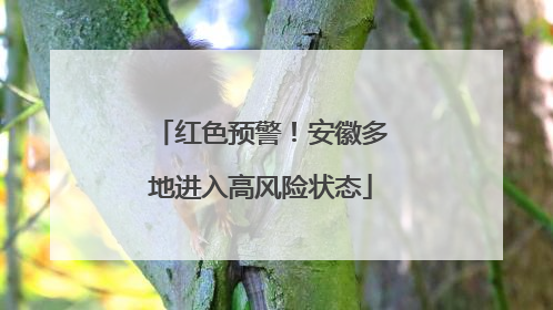 红色预警！安徽多地进入高风险状态