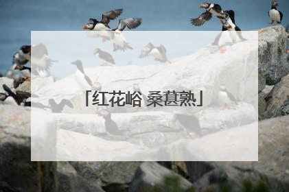 红花峪 桑葚熟