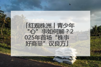 红观株洲丨青少年“心”事如何解？2025年首场“株事好商量”议良方