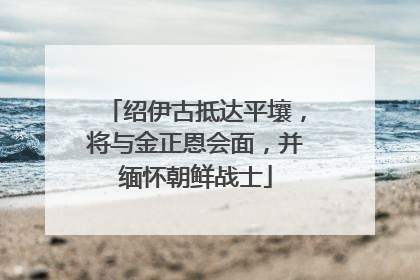 绍伊古抵达平壤，将与金正恩会面，并缅怀朝鲜战士