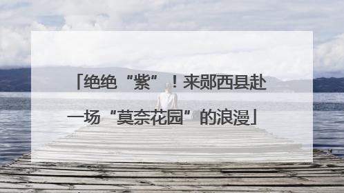 绝绝“紫”！来郧西县赴一场“莫奈花园”的浪漫