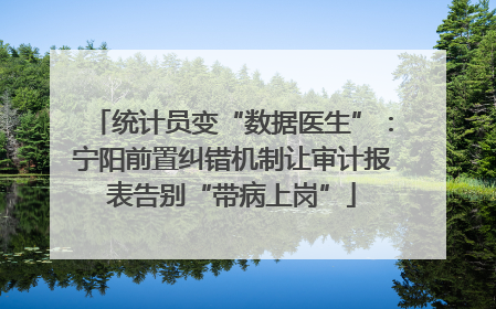 统计员变“数据医生”：宁阳前置纠错机制让审计报表告别“带病上岗”