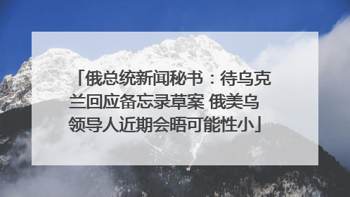 俄总统新闻秘书：待乌克兰回应备忘录草案 俄美乌领导人近期会晤可能性小