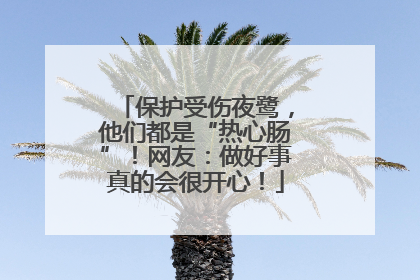 保护受伤夜鹭，他们都是“热心肠”！网友：做好事真的会很开心！