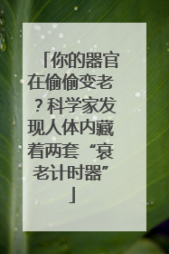 你的器官在偷偷变老？科学家发现人体内藏着两套“衰老计时器”