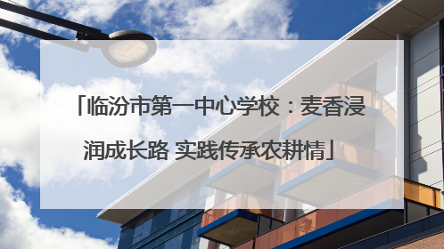 临汾市第一中心学校：麦香浸润成长路 实践传承农耕情