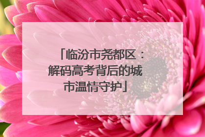 临汾市尧都区：解码高考背后的城市温情守护